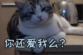 有一个控制欲极强的小男友是一种什么样的体验视频封面