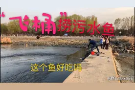 呼和浩特小黑河清理河道，“飞桶”都能捞到鱼，淤泥鱼好吃吗视频封面