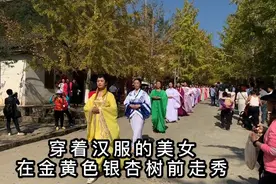 深圳周边赏银杏，穿着汉服的美女在金黄色银杏树前走秀，太漂亮了