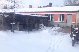 东北林区，零下二十度，拍摄过程中手机直接冻关机啦，这就是东北视频封面