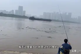 湘江散步，毛主席曾在此发出，问苍茫大地，谁主沉浮视频封面