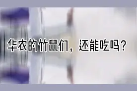 华农的竹鼠们，还能吃吗？