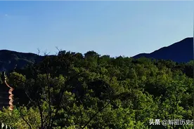 北京后花园阳台山附近山边的野花都有一种野性的惊艳之美吸引着人图片