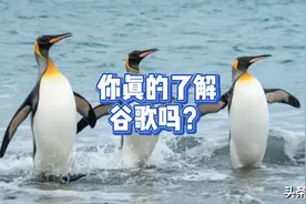 你真的了解谷歌吗？视频封面