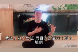 家里两吨水的鱼缸，楼房能承受吗？视频封面