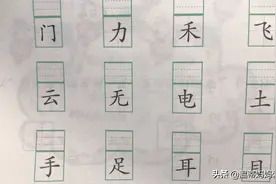 宝宝学识字：今天认识身体的部分器官，手、足、耳👂、目👀…