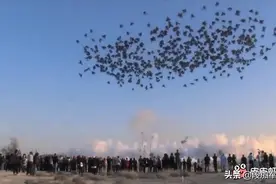 你绝对没见过白天放的烟花（黑烟花）…