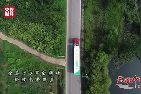 #云瞰中国#【小酥梨成致富果！“世界梨都”又到一年硕果累累时视频封面