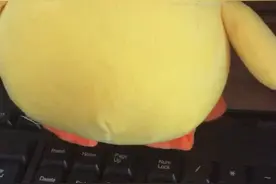 手机登录今日头条后台个人中心的方法在这里！视频封面