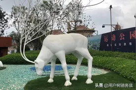 恒大童话世界视频封面