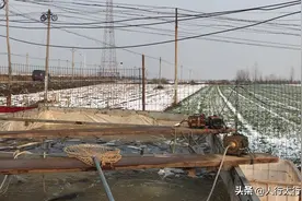 岳城水库野生鱼，最大的30斤一条，15块钱一斤。视频封面