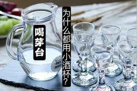 用什么杯子喝白酒好？为什么喝茅台都用透明小酒杯？视频封面