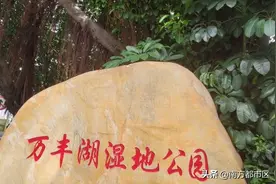 深圳沙井万丰湖湿地公园，去年刚开放，就在万丰98工业区对面图片