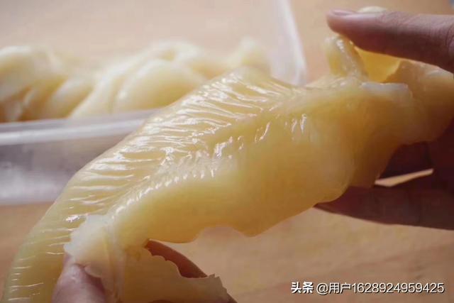 头黃花胶 2026年黄花胶头数是什么意思