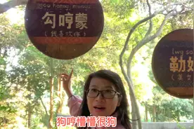 “勾哼蒙”“懵很狗”老同，你知道什么意思吗？初接触壮语好好玩视频封面