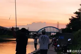 深圳河流，以前是臭水沟，改造后成为钓鱼，散步好地方图片