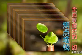 焦点堆栈：前期拍摄和后期处理全过程讲解