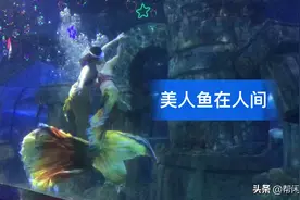 动物园里的“美人鱼”你见过吗？美的不舍的离开