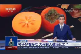 【科学辟谣！CP不能随便组，这些食物真的相克吗？】柿子和螃蟹