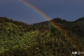 雨后彩虹(不经风雨、怎见彩虹)图片