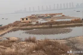 高新区青岛中学海边附近也是一处遛娃和钓鱼的好地方！还能吹海风