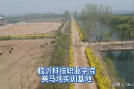 临沂科技职业学院赛马场实训基地