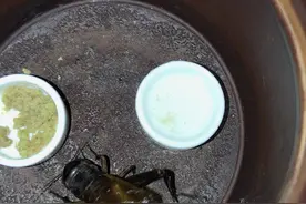 呦呦呦呦呦呦呦呦呦呦呦呦呦呦呦呦呦呦呦呦呦呦呦呦呦呦呦呦！