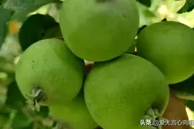 
世人慌慌张张不过碎银几两。可偏偏碎银几两能解世间万种慌张。图片