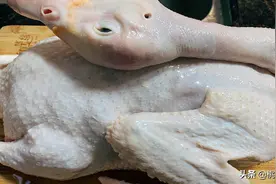 特色菜蒜子炒番鸭：蒜香味浓郁，滋阴润燥，做法简单！