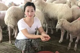 坐月子用的红糖，梦解决羊的大问题