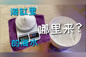 海缸的水是用食用盐兑的吗？史上最全兑海水攻略！