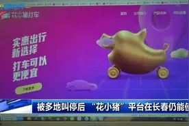 【被多地叫停后 “花小猪”平台在长春仍能使用】#第1报道视频封面