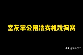 室友竟然用公用洗衣机洗狗窝？！
