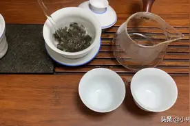 铁观音都需要放冰箱冷藏？了解铁观音的分类很重要