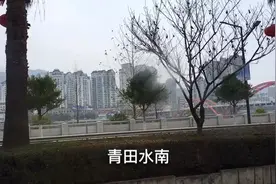 实拍外汇第一县青田县视频封面