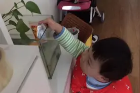 15个月萌娃真搞笑，偷学爸爸喂鱼，竟然捡垃圾桶的垃圾扔鱼缸视频封面