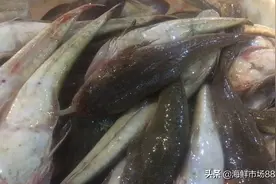 你知道海鲜市场为啥海鲜这么便宜吗！带你们去夜探一下