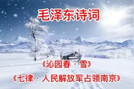 毛泽东诗词：《沁园春·雪》《七律·人民解放军占领南京》视频封面