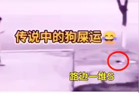 爆笑段子视频封面