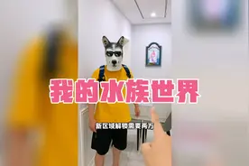 我的水族世界：你们解锁最贵的鱼缸多少金币？
