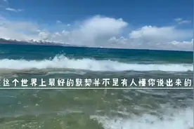 在这个世界上最好的默契并不是有人懂你说出来的故事#今日文案