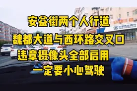 大同市安益街两个人行横道信号灯，拍摄违章摄像头全部启用状态。视频封面