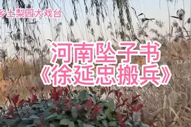 盲人郑玉荣坠子书《徐延忠搬兵》唱的真好，一连听了好几遍视频封面