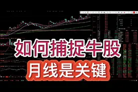 如何捕捉牛股？买在起涨点，月线是关键。实实在在的炒股干货。视频封面