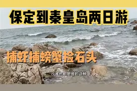保定到秦皇岛两日游！未开发景点！捡石头捕螃蟹！踩着贝壳来游玩视频封面