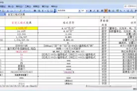 excel操作交流19一一单元格自定义格式