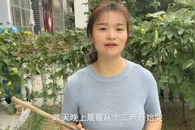 小宝宝半夜忽然哭闹吓坏宝妈，孙媳胆小不敢喂药还得七旬奶奶出马视频封面