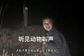 下雨天来山里看蛤蟆，听见动物叫声！太吓人啦！