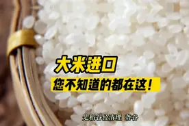 大米进口，您不知道的都在这！