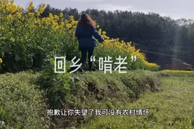 2025年将全面实现村村通快递，你闻到蛋糕的味道了吗视频封面